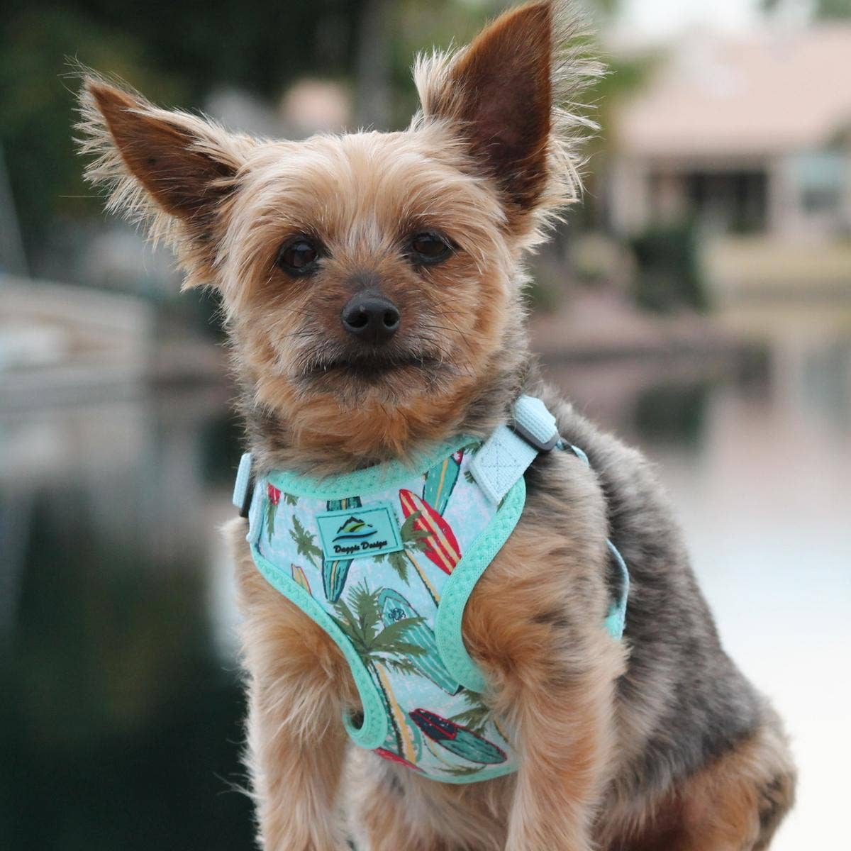 Wrap & Snap Choke Free Dog Harness - Surfboards and Palms