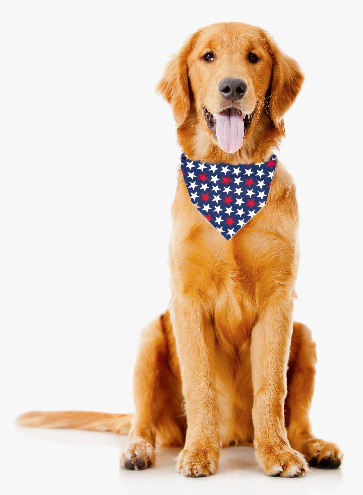 Patriotic Dog Bandanas | 4th of July | Memorial Day | Fourth