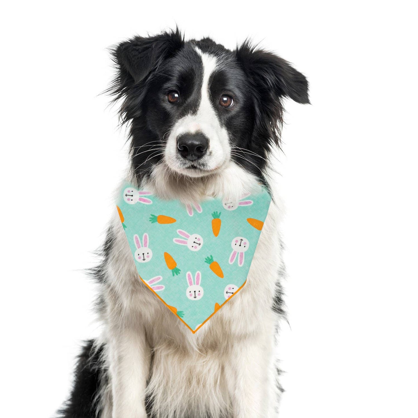 Easter Dog Bandana, Bunny, Carrot