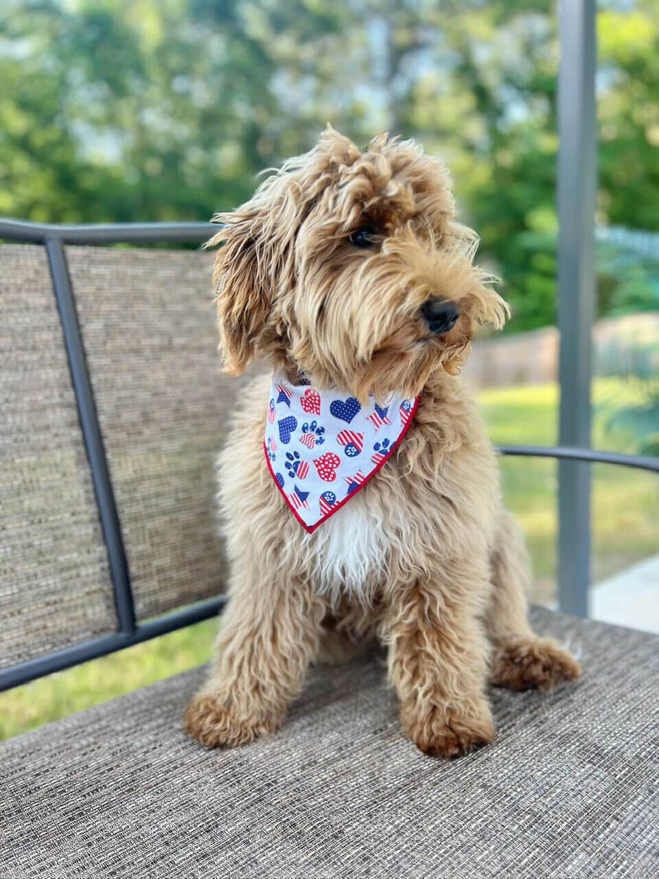Patriotic Dog Bandana | 4th of July | Memorial Day | Paws