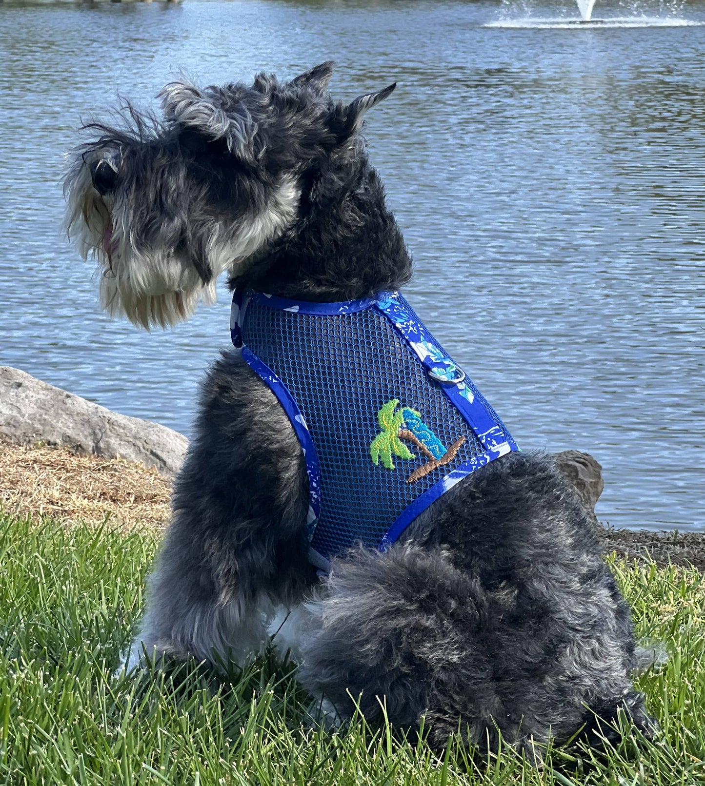 Cool Mesh Dog Harness - Ocean Blue & Palms