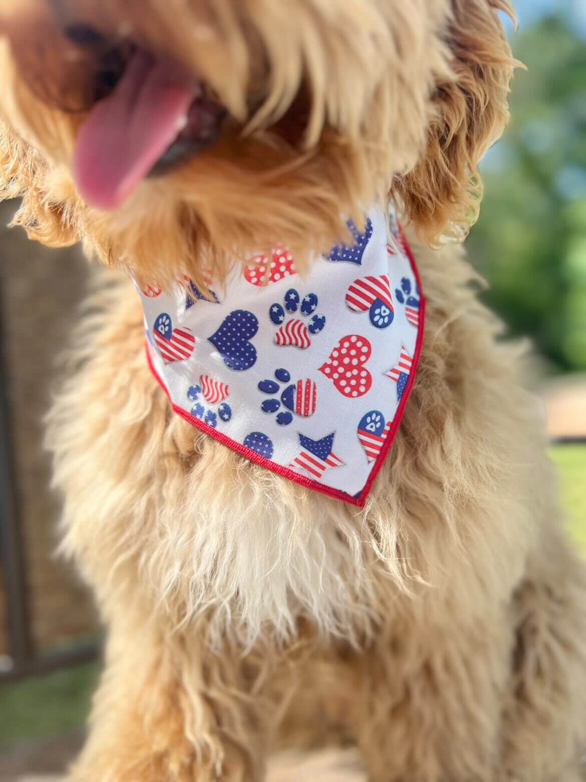 Patriotic Dog Bandana | 4th of July | Memorial Day | Paws